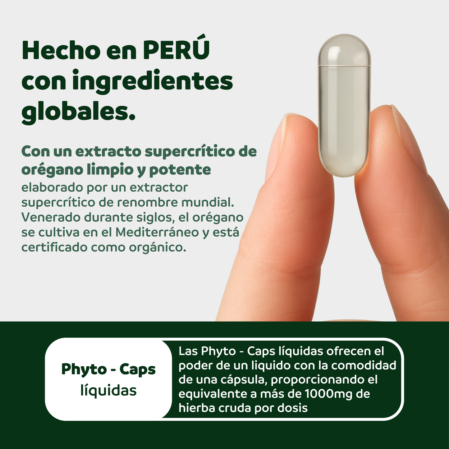 Aceite de Orégano y Aceite de Coco MCT en Cápsulas 60 unidades | formula 2 en 1