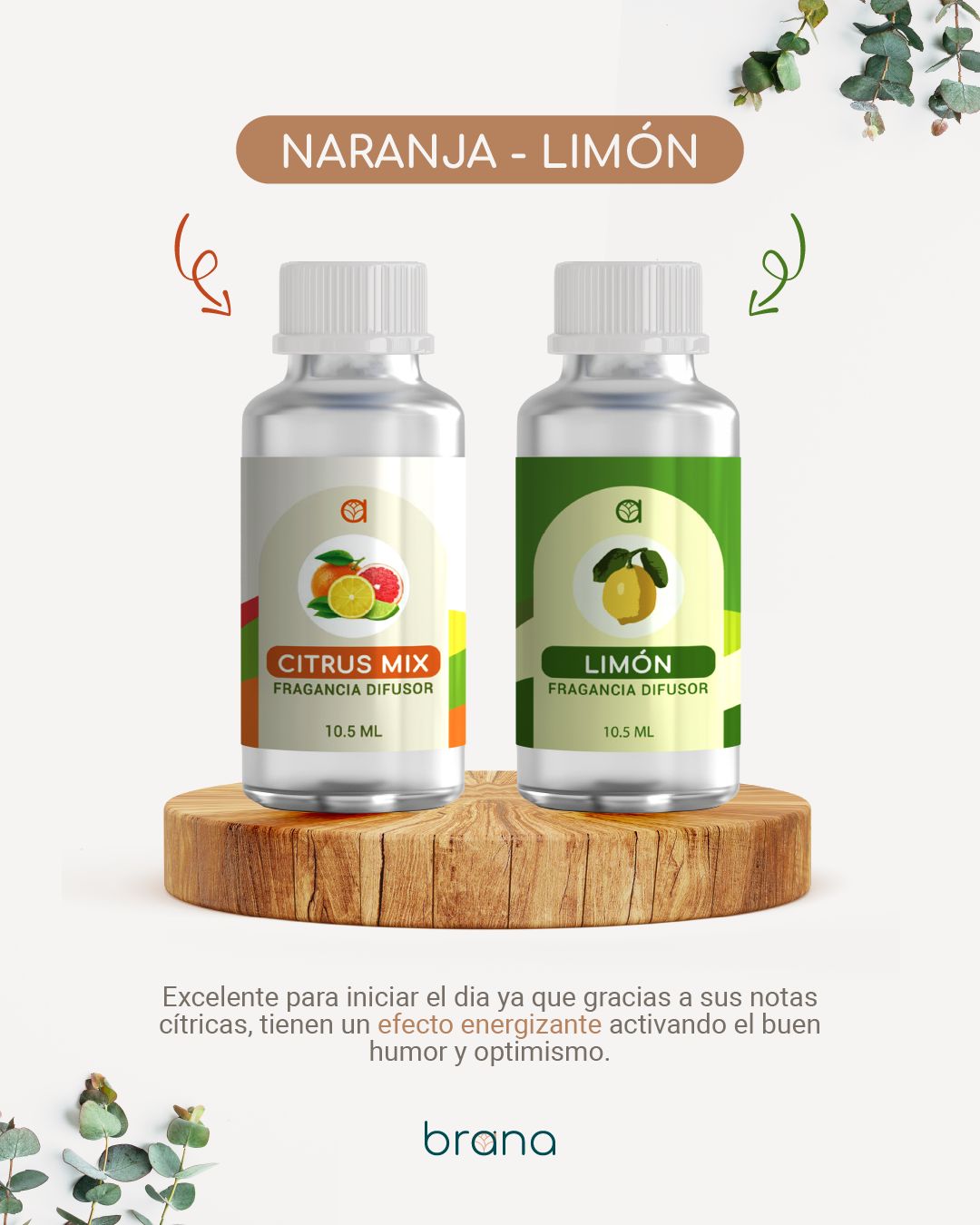 Fragancias para difusor Brana 10.5 ml - Aromas variados