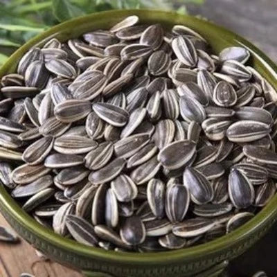 Semilla de girasol x Kg