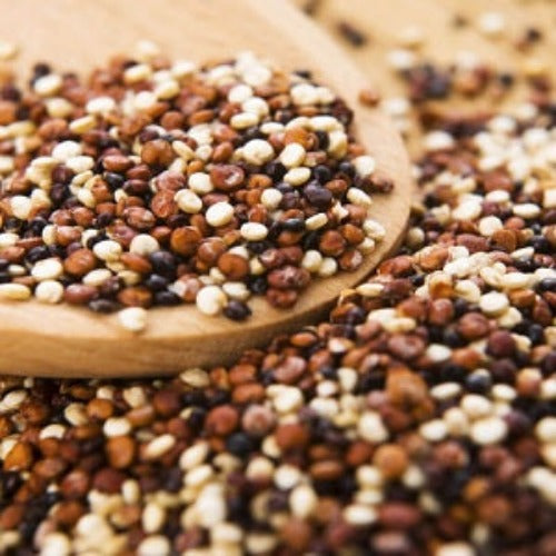 Quinua Tricolor en grano x Kg